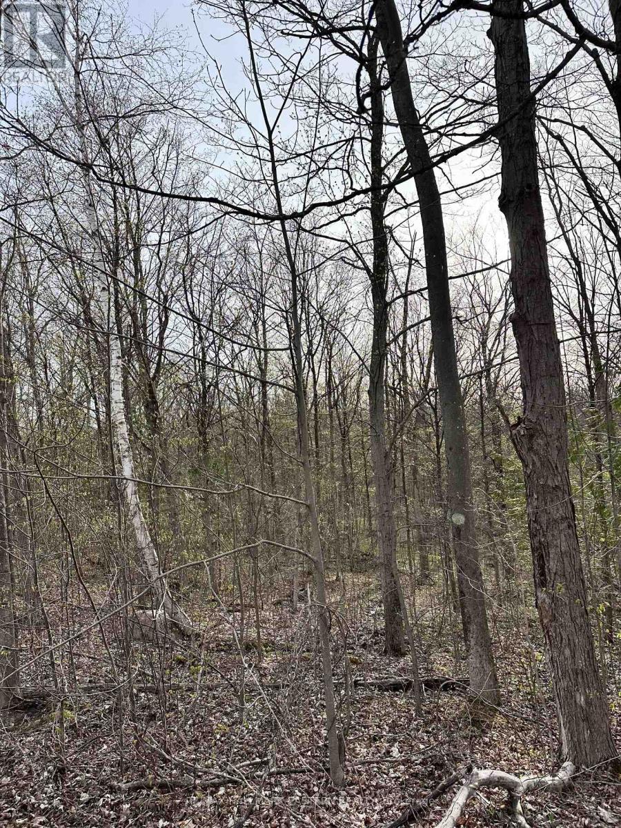 62 Trent View Drive, Trent Hills (Hastings), ON