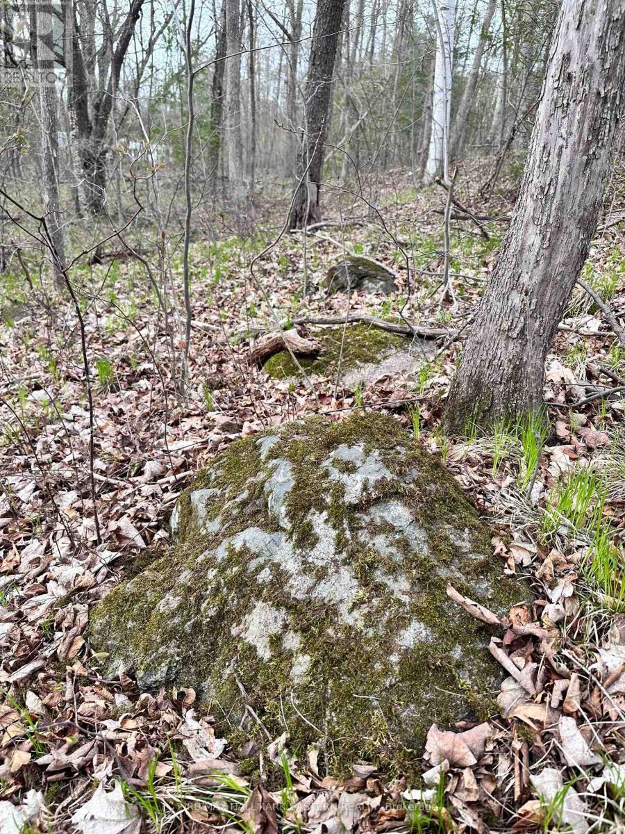 62 Trent View Drive, Trent Hills (Hastings), ON