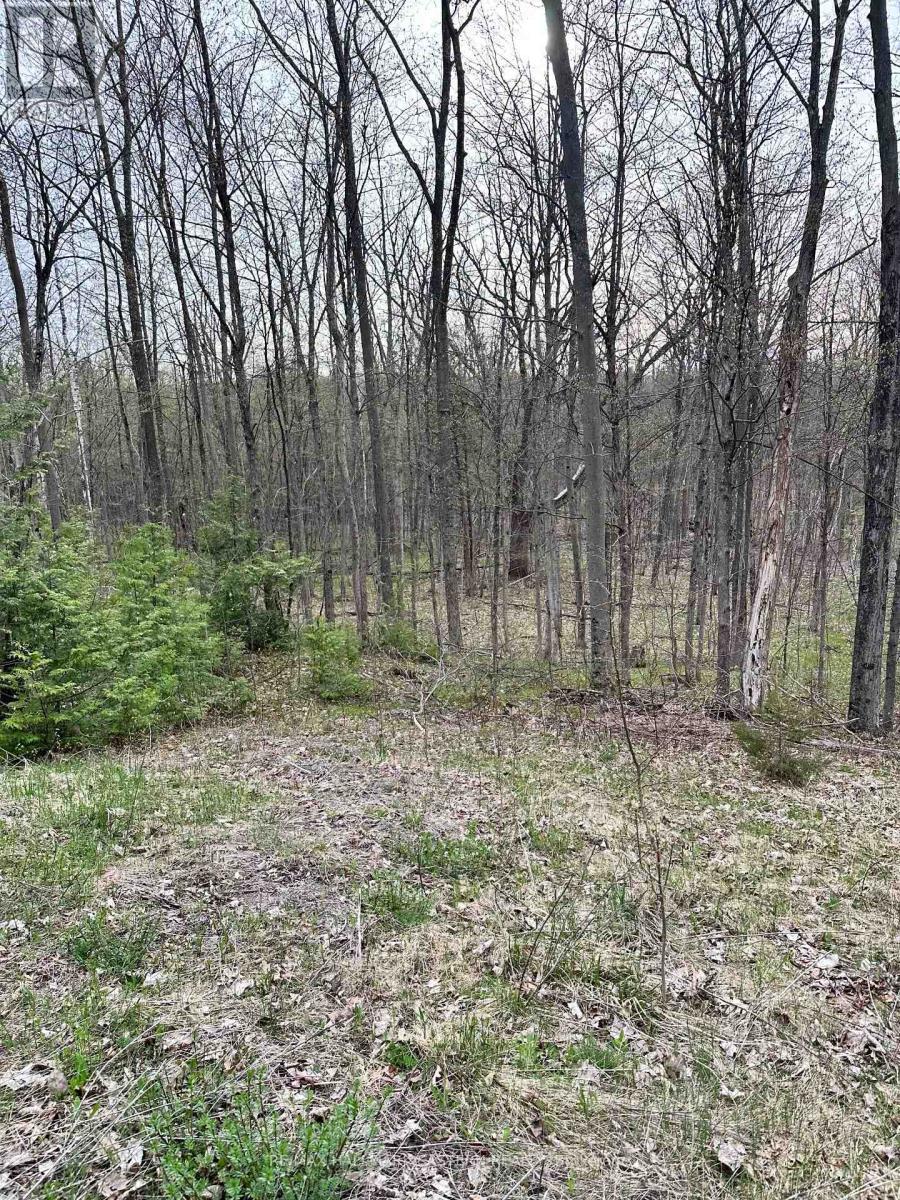 62 Trent View Drive, Trent Hills (Hastings), ON