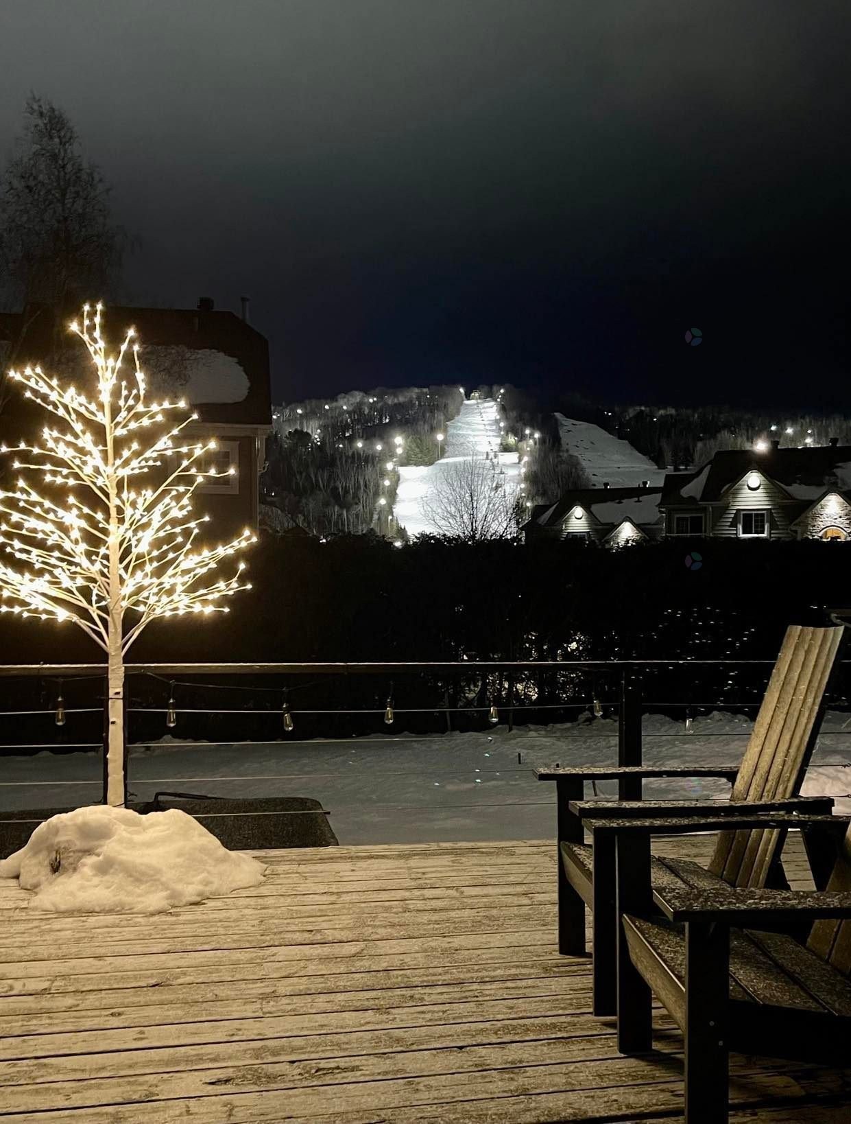 View - 366 Ch. Du Lac-Millette, Saint-Sauveur, QC - Outdoor