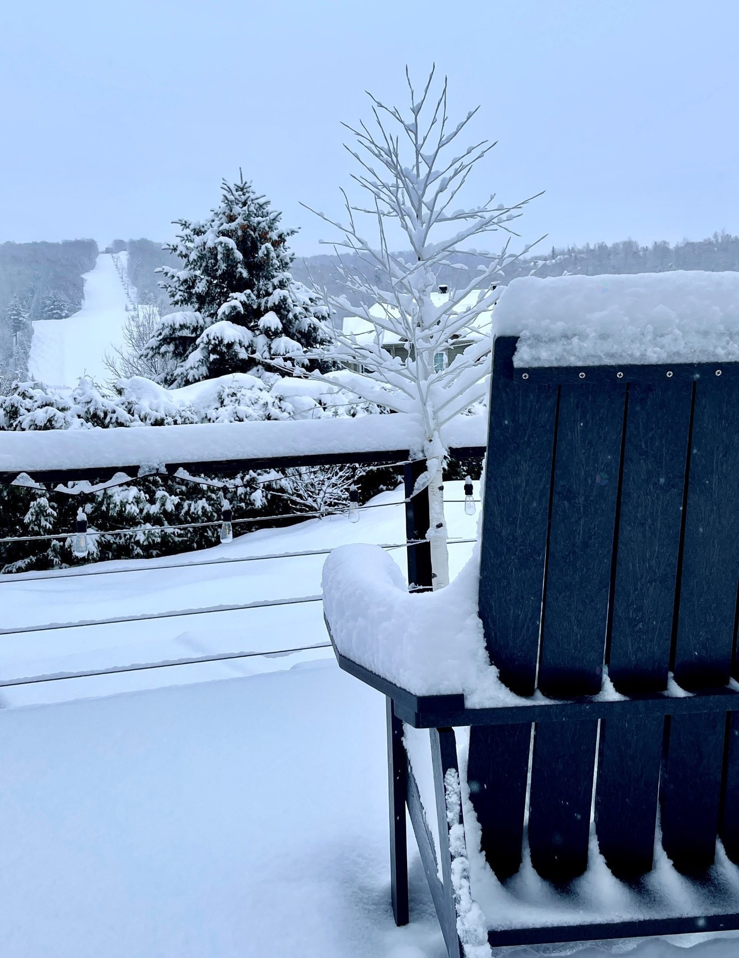 Courtyard - 366 Ch. Du Lac-Millette, Saint-Sauveur, QC - Outdoor