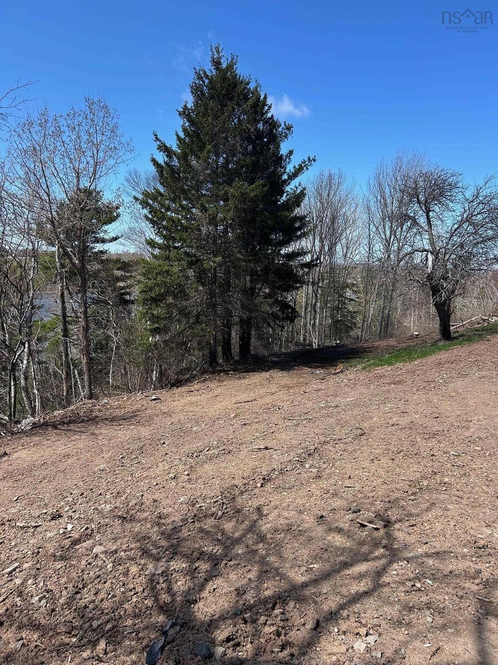 99 Shore Road, Sutherlands River, NS