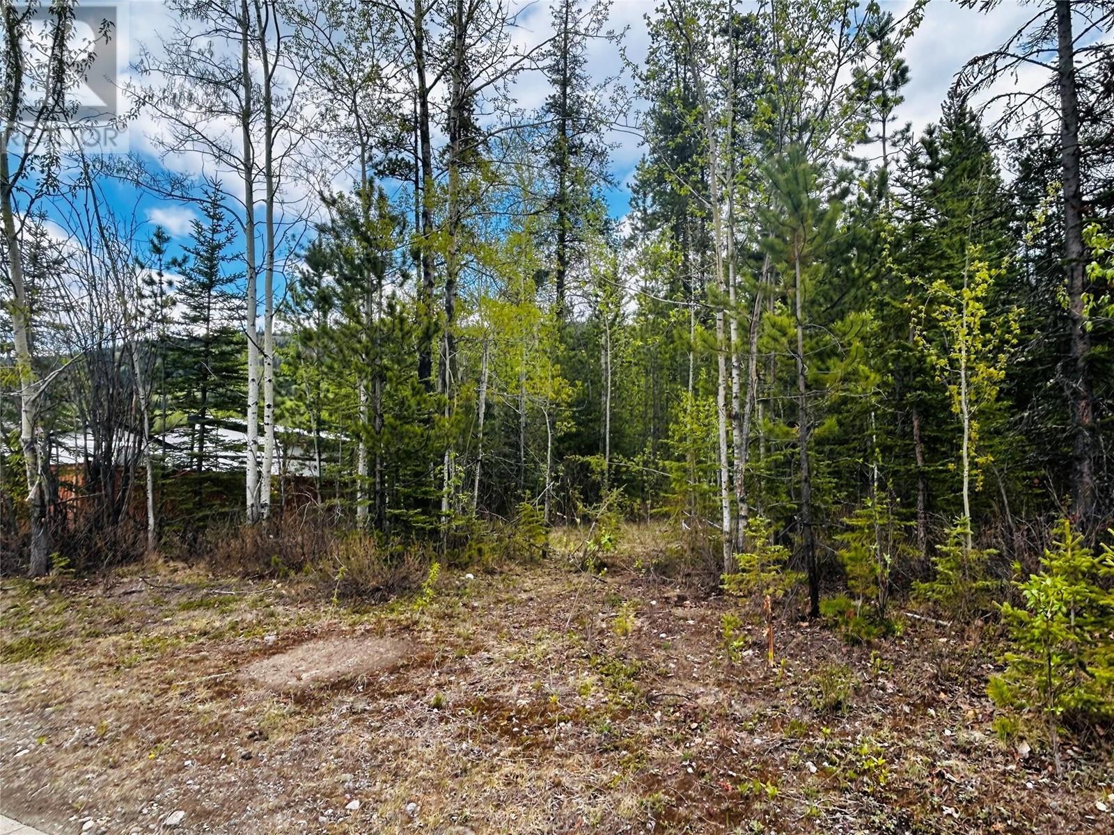 8 Wolverine Place, Tumbler Ridge, BC