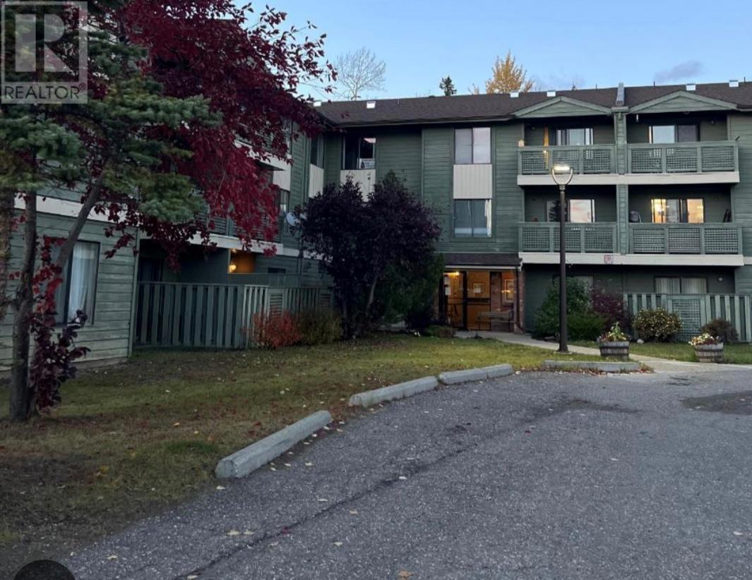 185 Chamberlain Crescent Unit# 103, Tumbler Ridge, BC - Outdoor