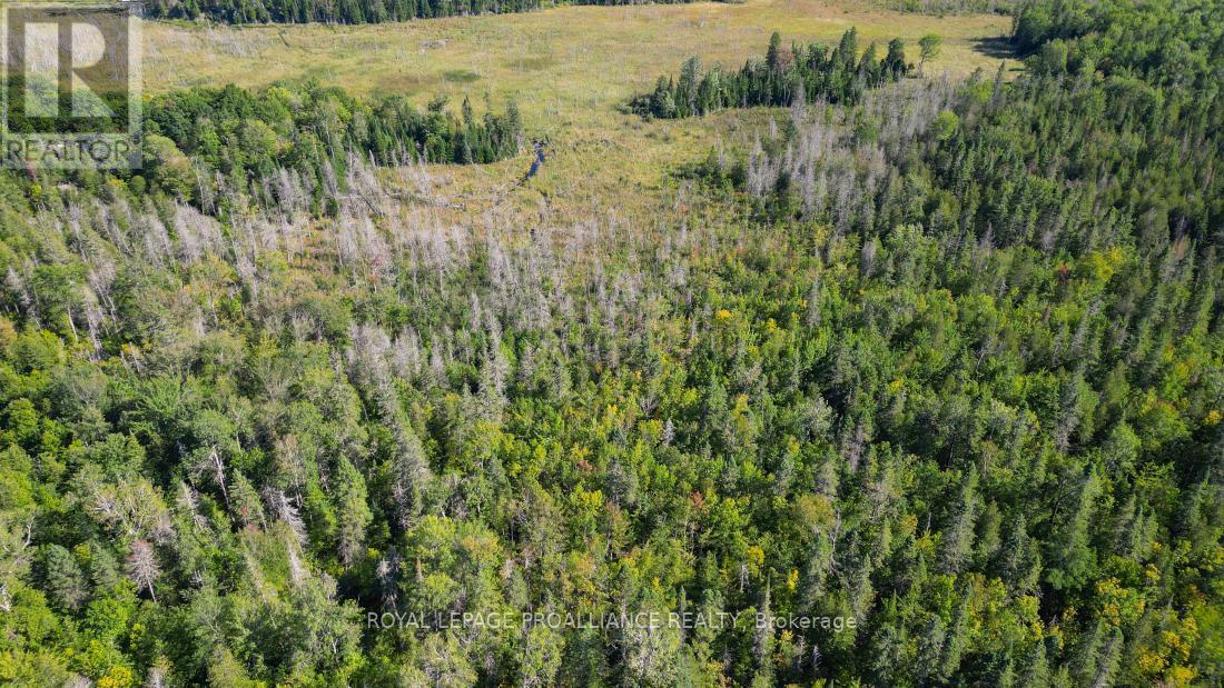 A - 2839A Ardoch Road, North Frontenac (Frontenac North), ON