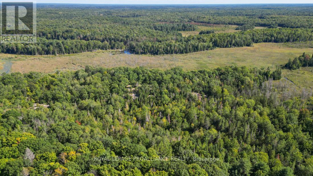 A - 2839A Ardoch Road, North Frontenac (Frontenac North), ON