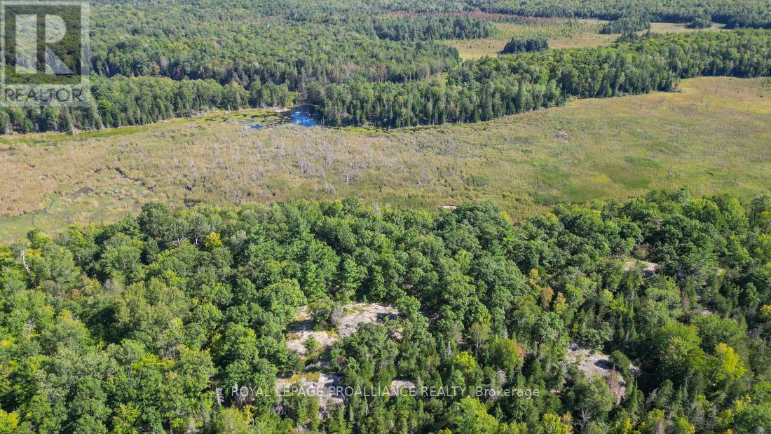 A - 2839A Ardoch Road, North Frontenac (Frontenac North), ON