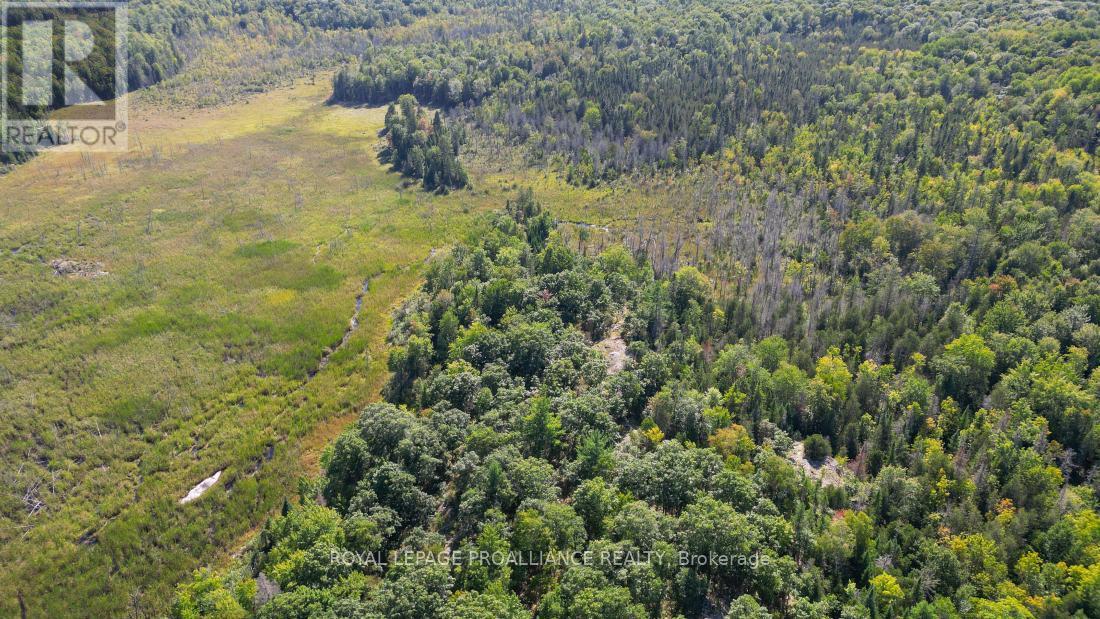 A - 2839A Ardoch Road, North Frontenac (Frontenac North), ON