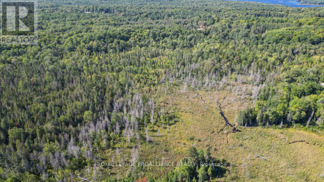 A - 2839A Ardoch Road, North Frontenac (Frontenac North), ON