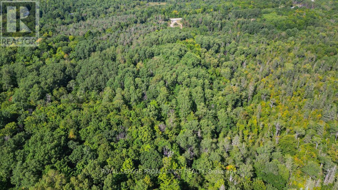 A - 2839A Ardoch Road, North Frontenac (Frontenac North), ON