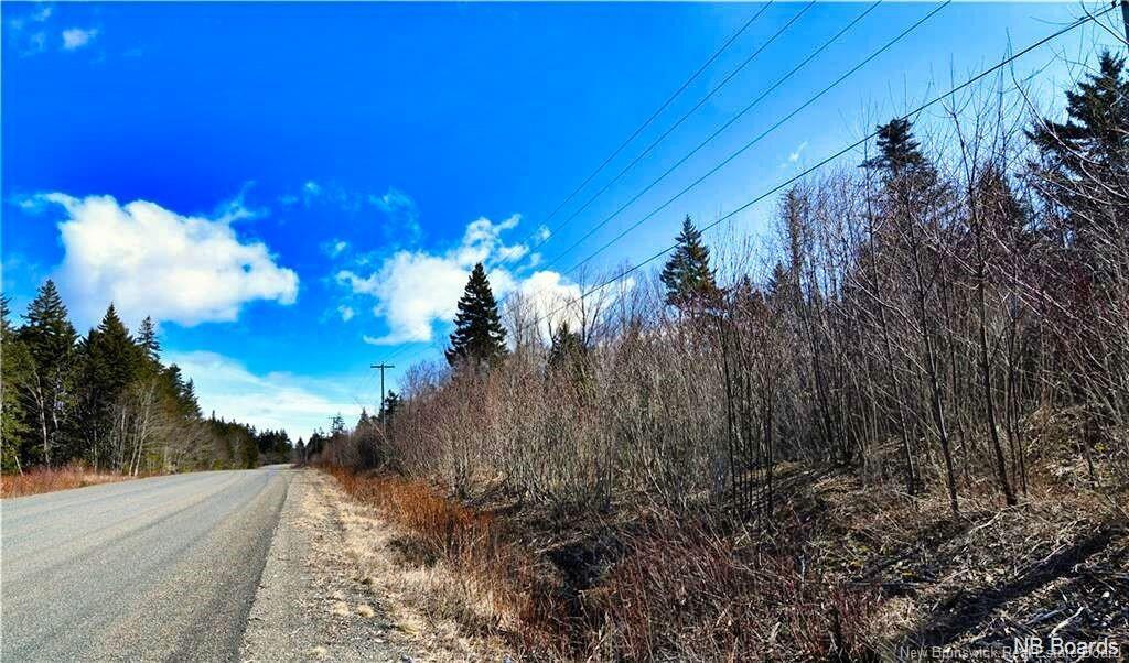 Lot 88-109 Bunker Hill Rd, Wilsons Beach, NB