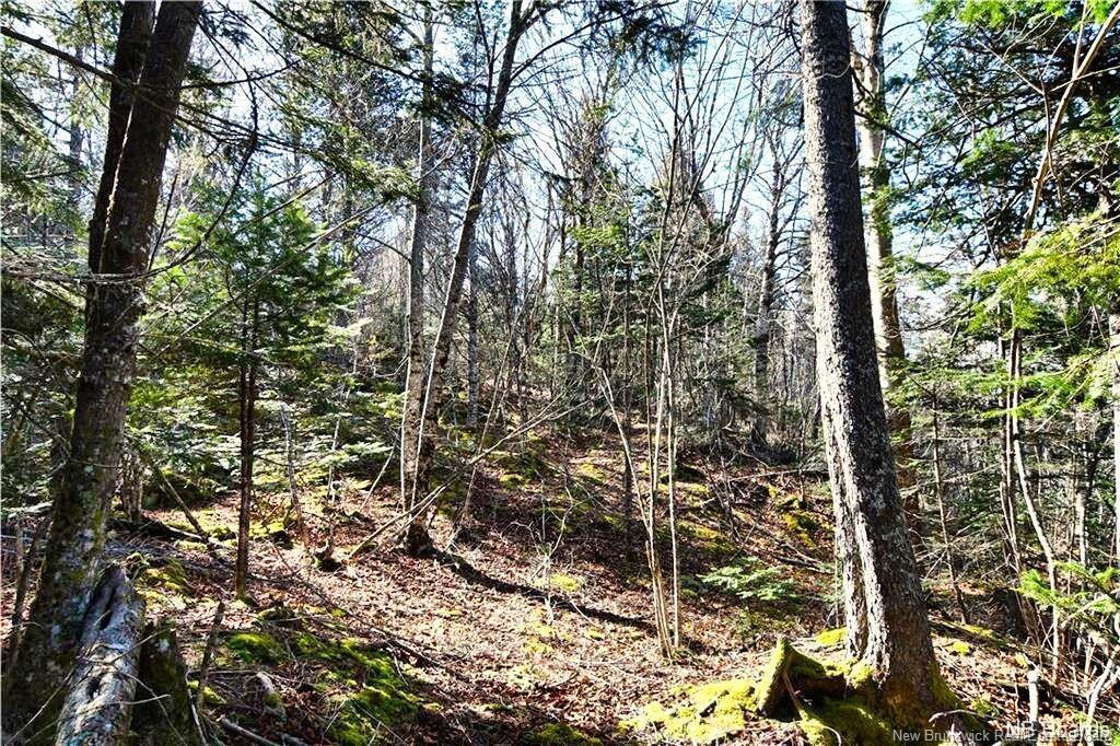 Lot 88-109 Bunker Hill Rd, Wilsons Beach, NB
