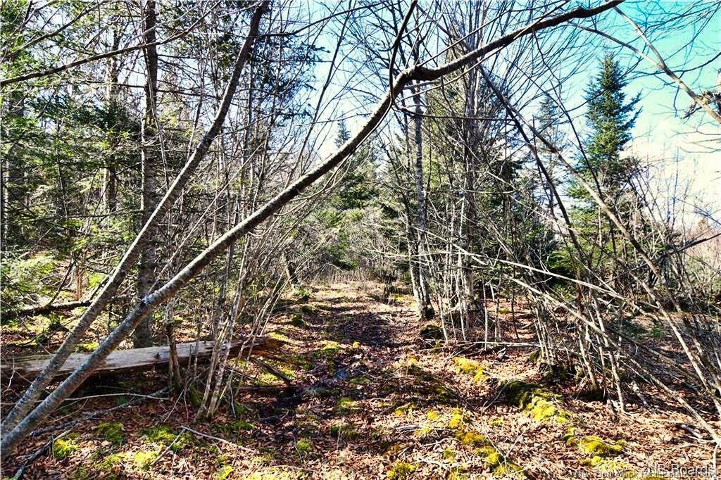 Lot 88-109 Bunker Hill Rd, Wilsons Beach, NB
