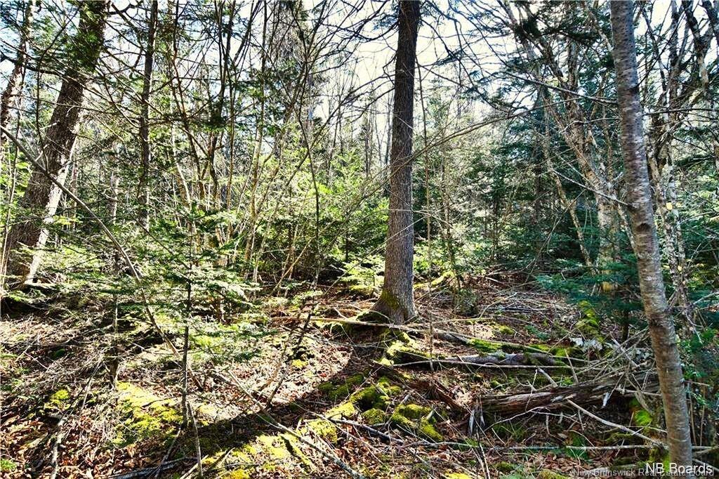 Lot 88-109 Bunker Hill Rd, Wilsons Beach, NB