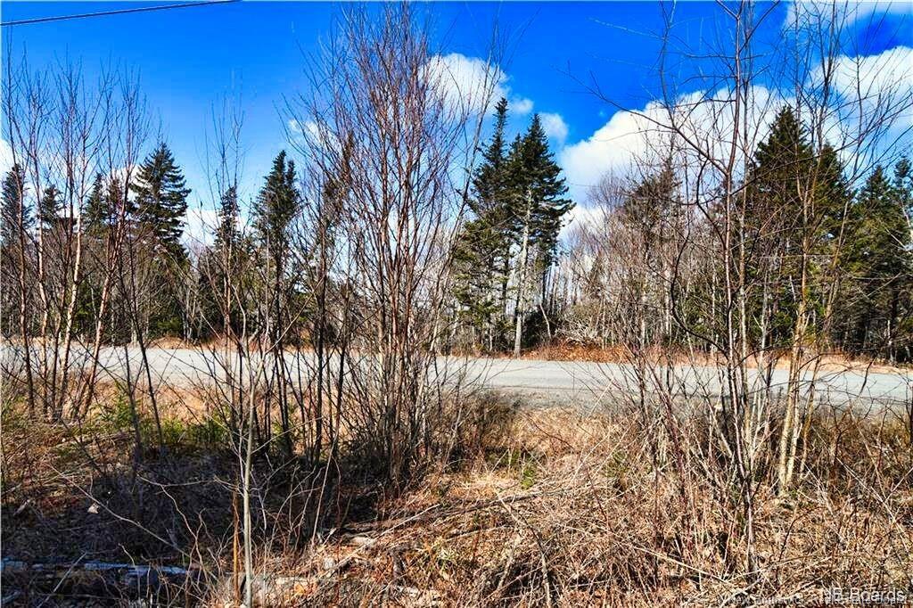 Lot 88-109 Bunker Hill Rd, Wilsons Beach, NB
