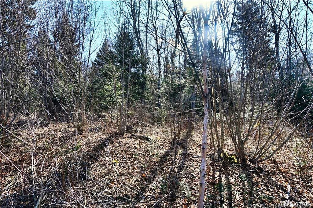 Lot 88-109 Bunker Hill Rd, Wilsons Beach, NB