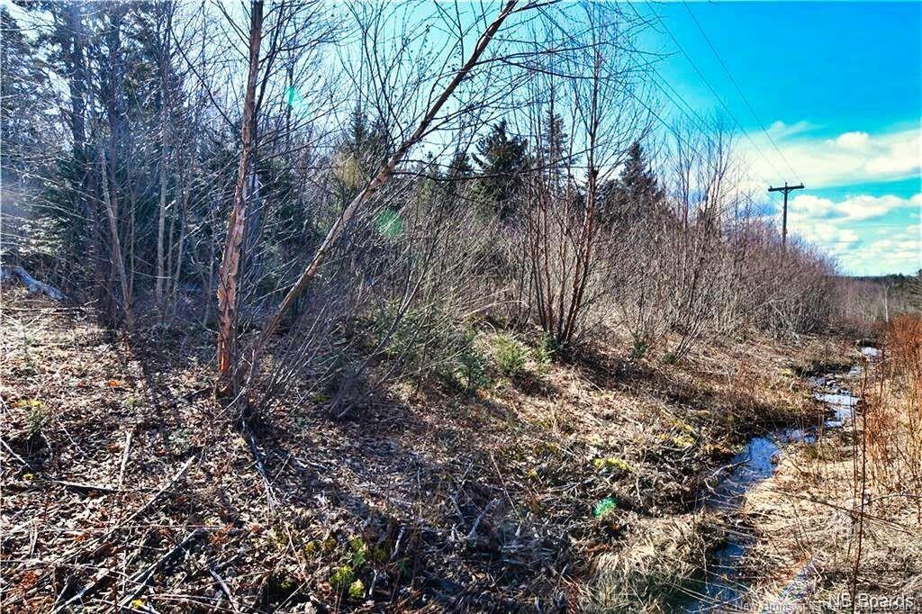 Lot 88-109 Bunker Hill Rd, Wilsons Beach, NB