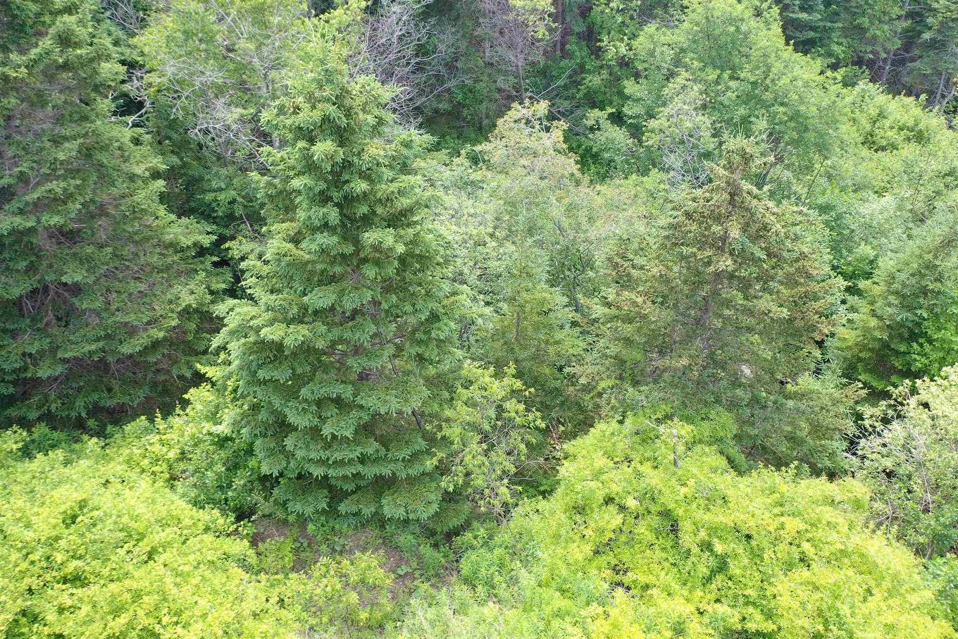 Lots 14 & 15 Highview & Clough Ave, Port Hastings, NS