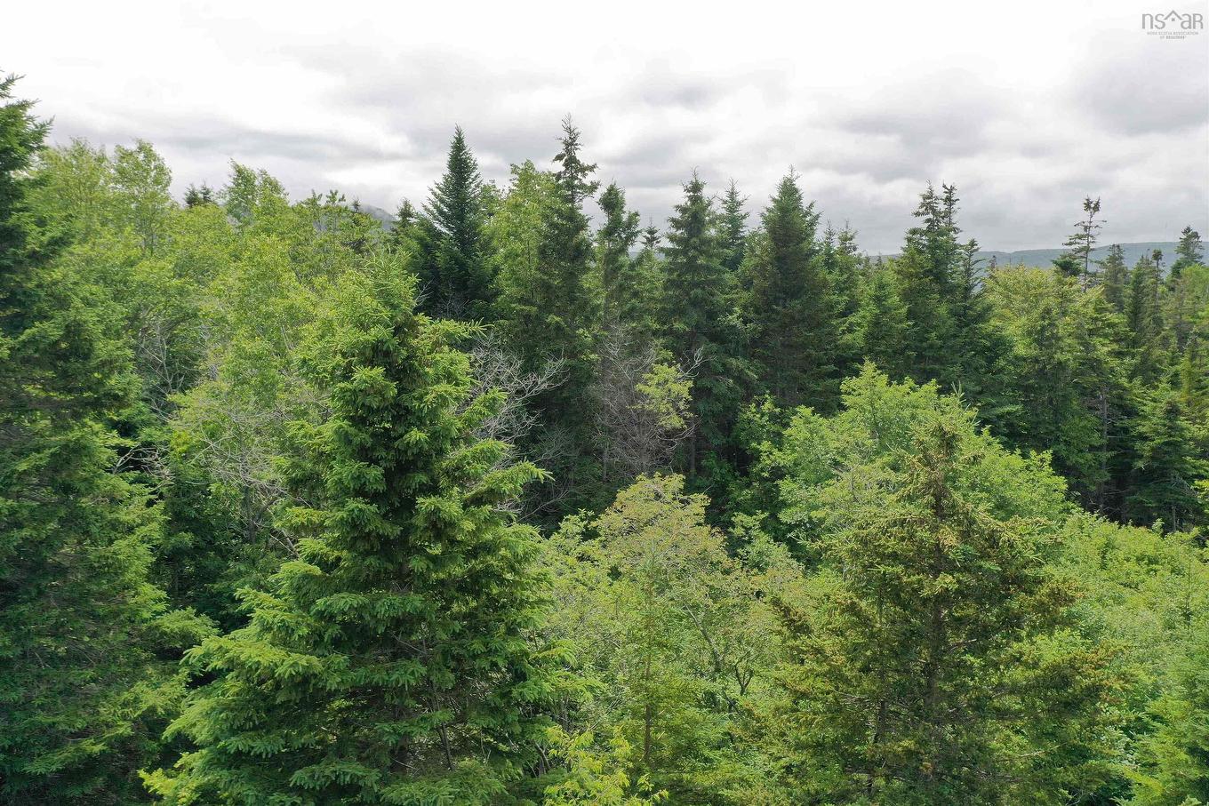 Lots 14 & 15 Highview & Clough Ave, Port Hastings, NS