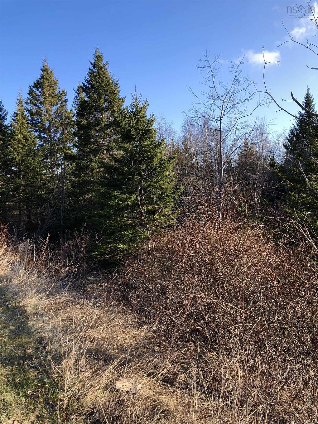 Lots 14 & 15 Highview & Clough Ave, Port Hastings, NS