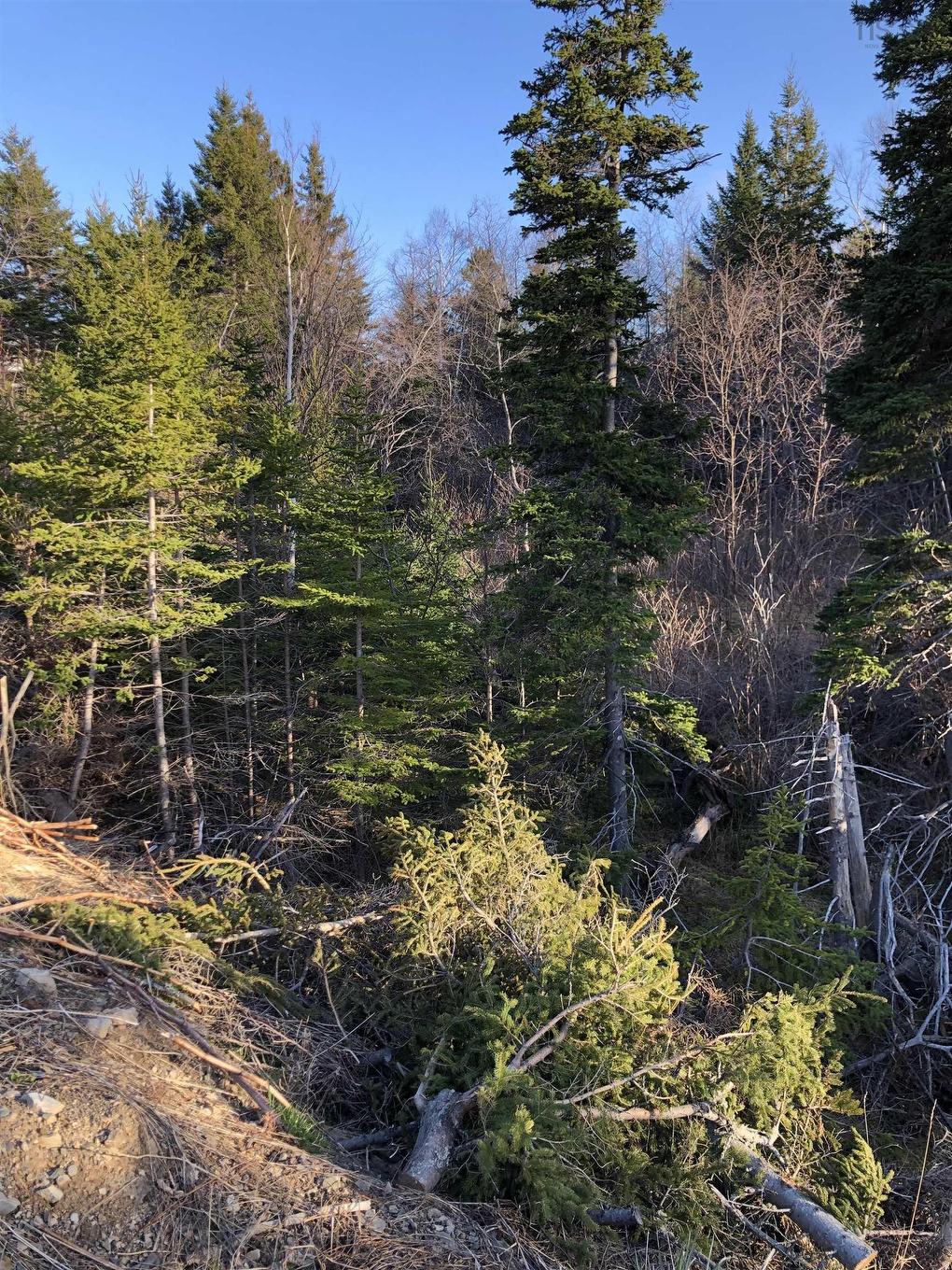 Lots 14 & 15 Highview & Clough Ave, Port Hastings, NS