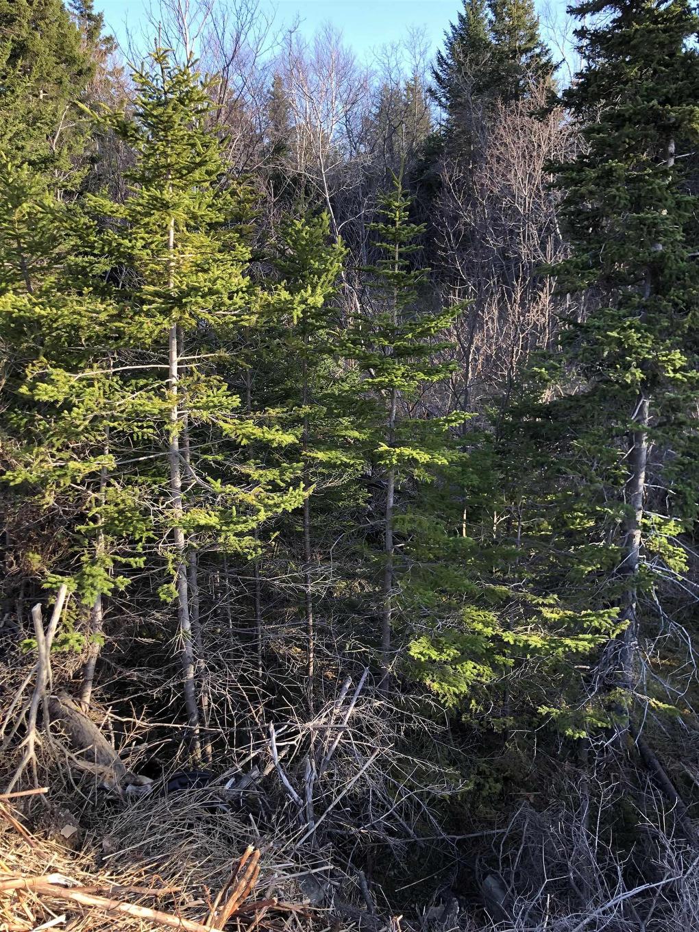 Lots 14 & 15 Highview & Clough Ave, Port Hastings, NS