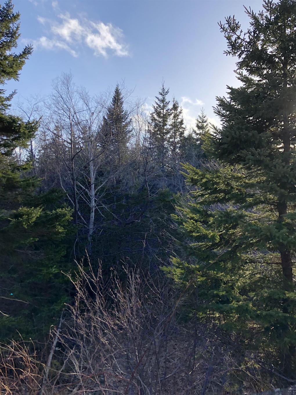 Lots 14 & 15 Highview & Clough Ave, Port Hastings, NS