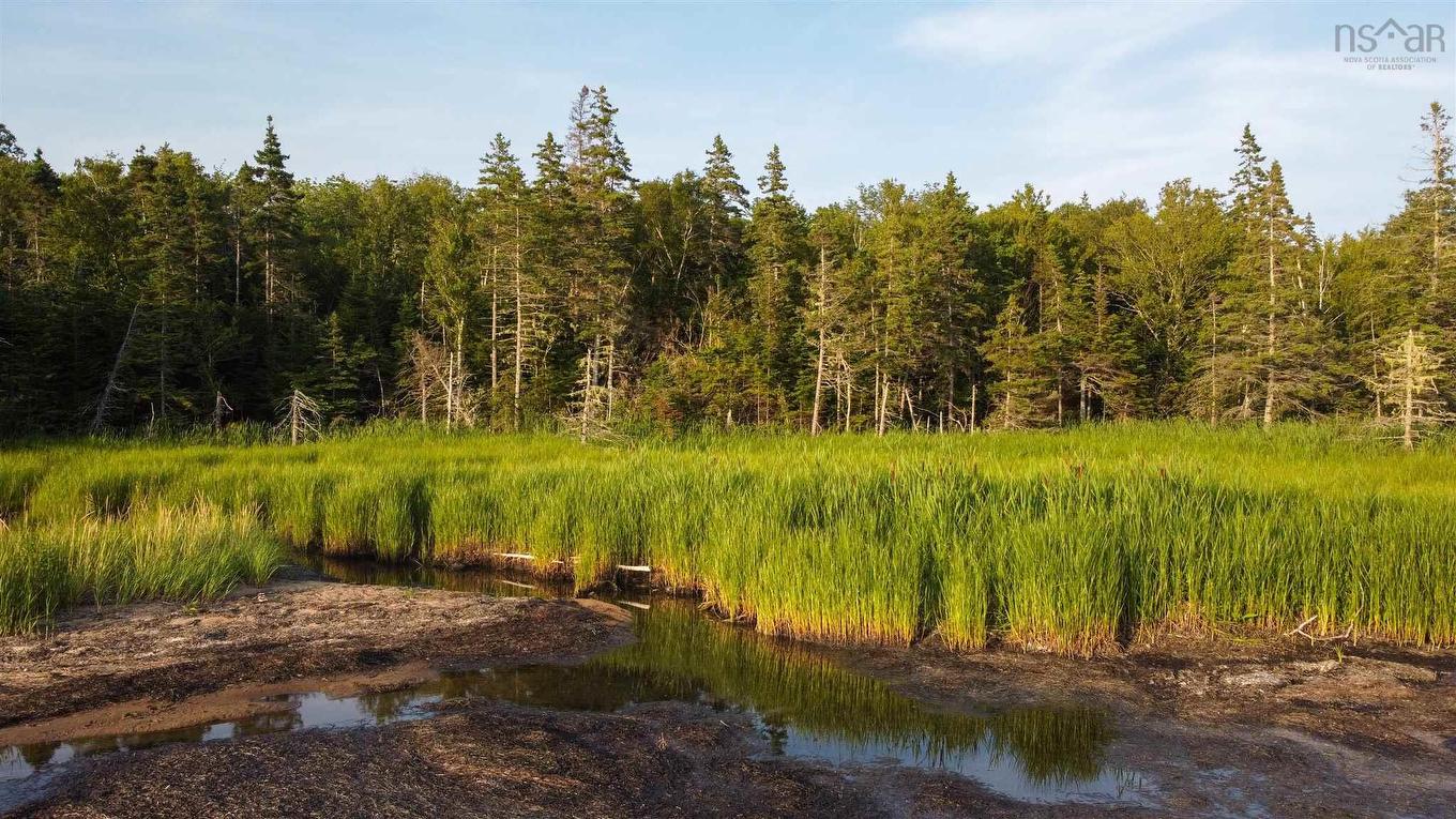 Lot 9 White Birch Landing, Islandview, NS