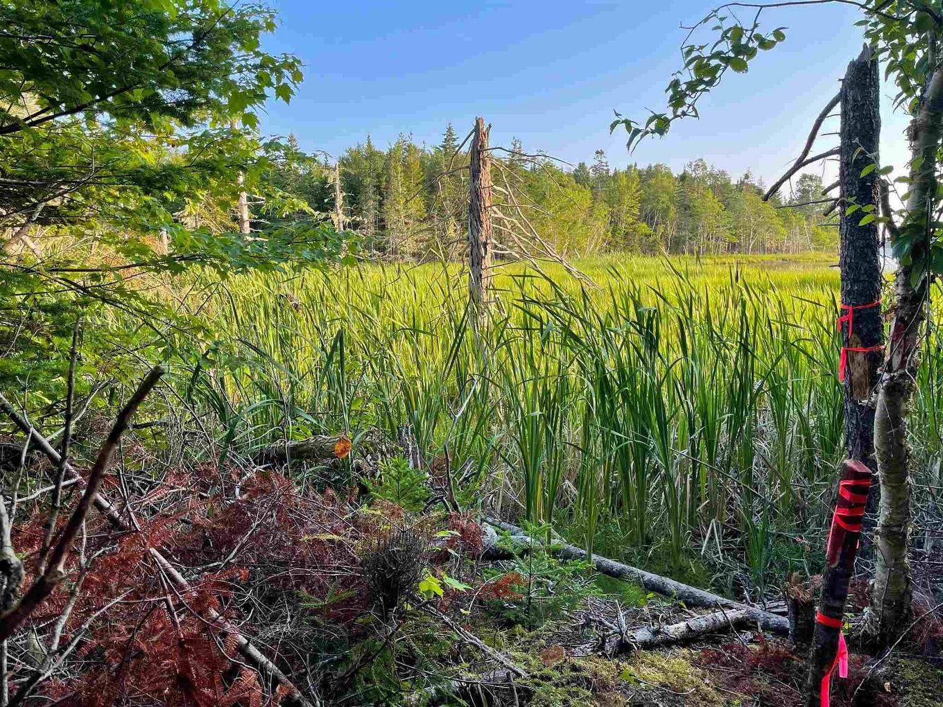 Lot 9 White Birch Landing, Islandview, NS