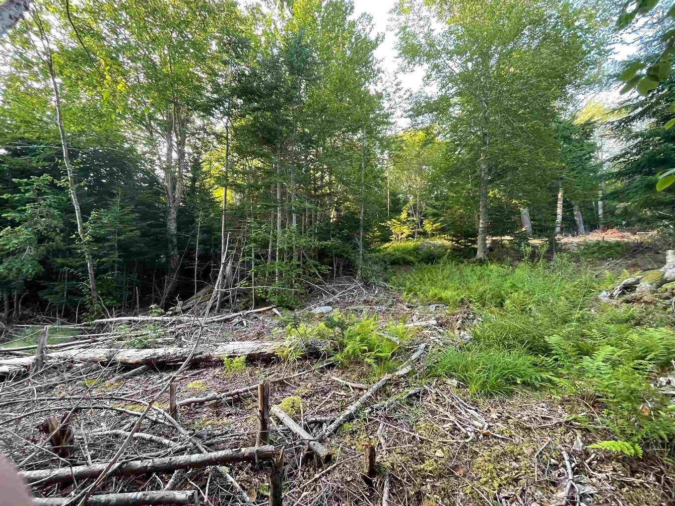 Lot 10 White Birch Landing, Islandview, NS