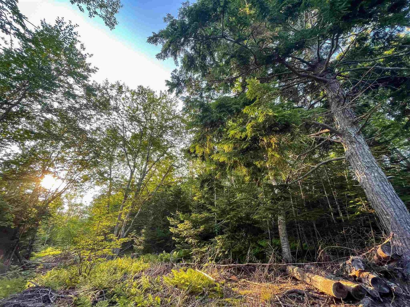 Lot 10 White Birch Landing, Islandview, NS