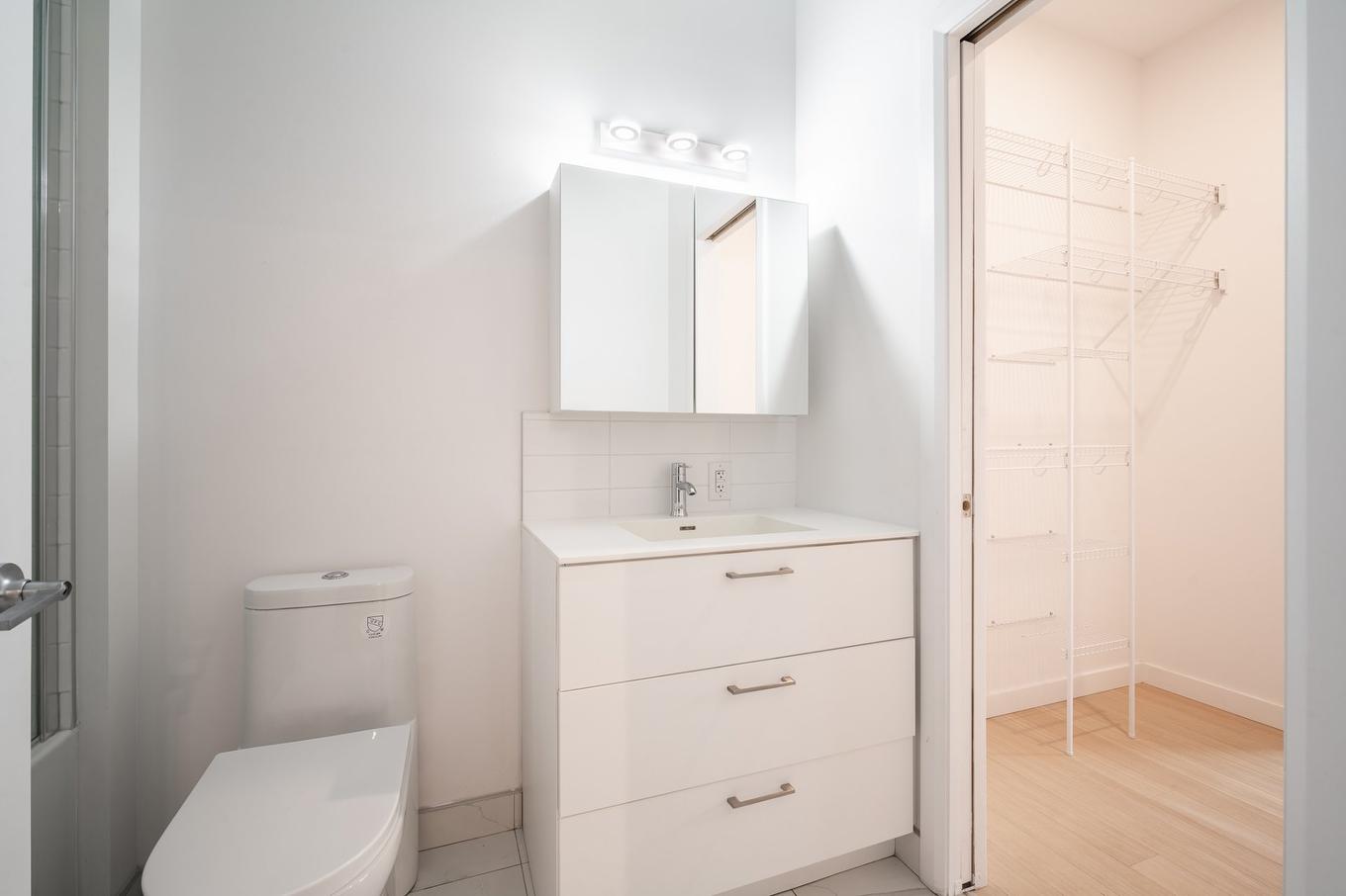 Salle de bains - 517-3155 Av. Parkville, Montréal (Mercier/Hochelaga-Maisonneuve), QC - Indoor Photo Showing Bathroom