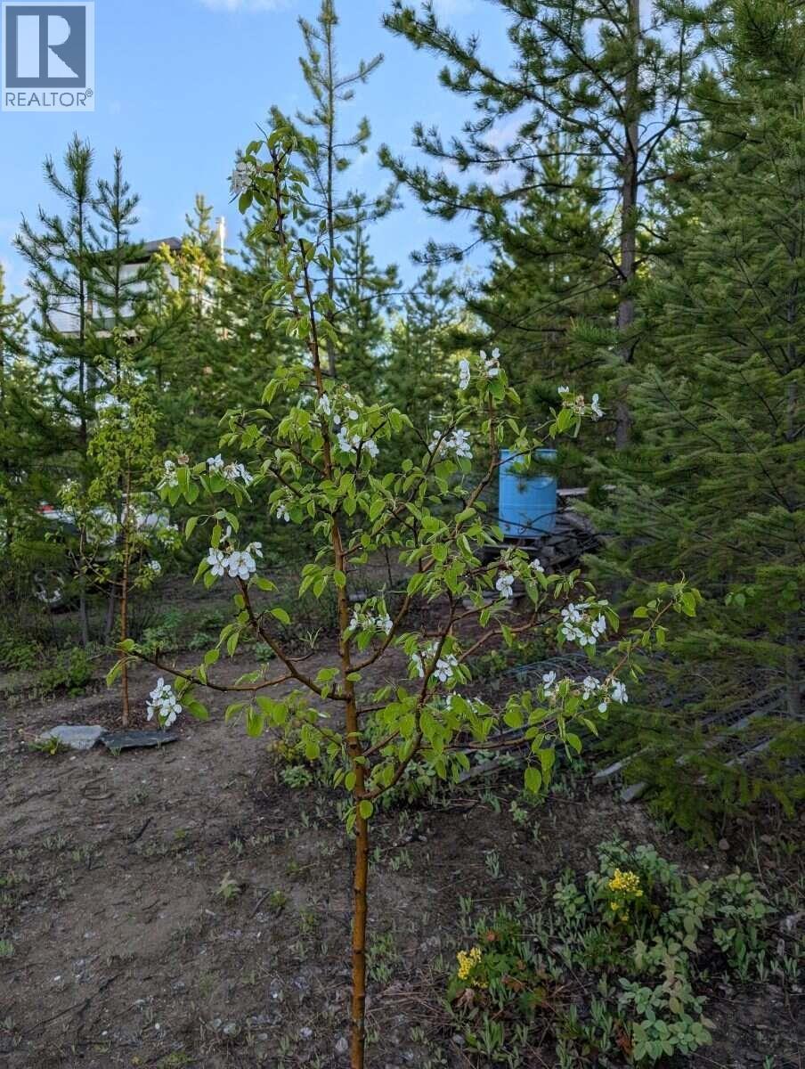 2350 Sharelene Drive, Prince George, BC