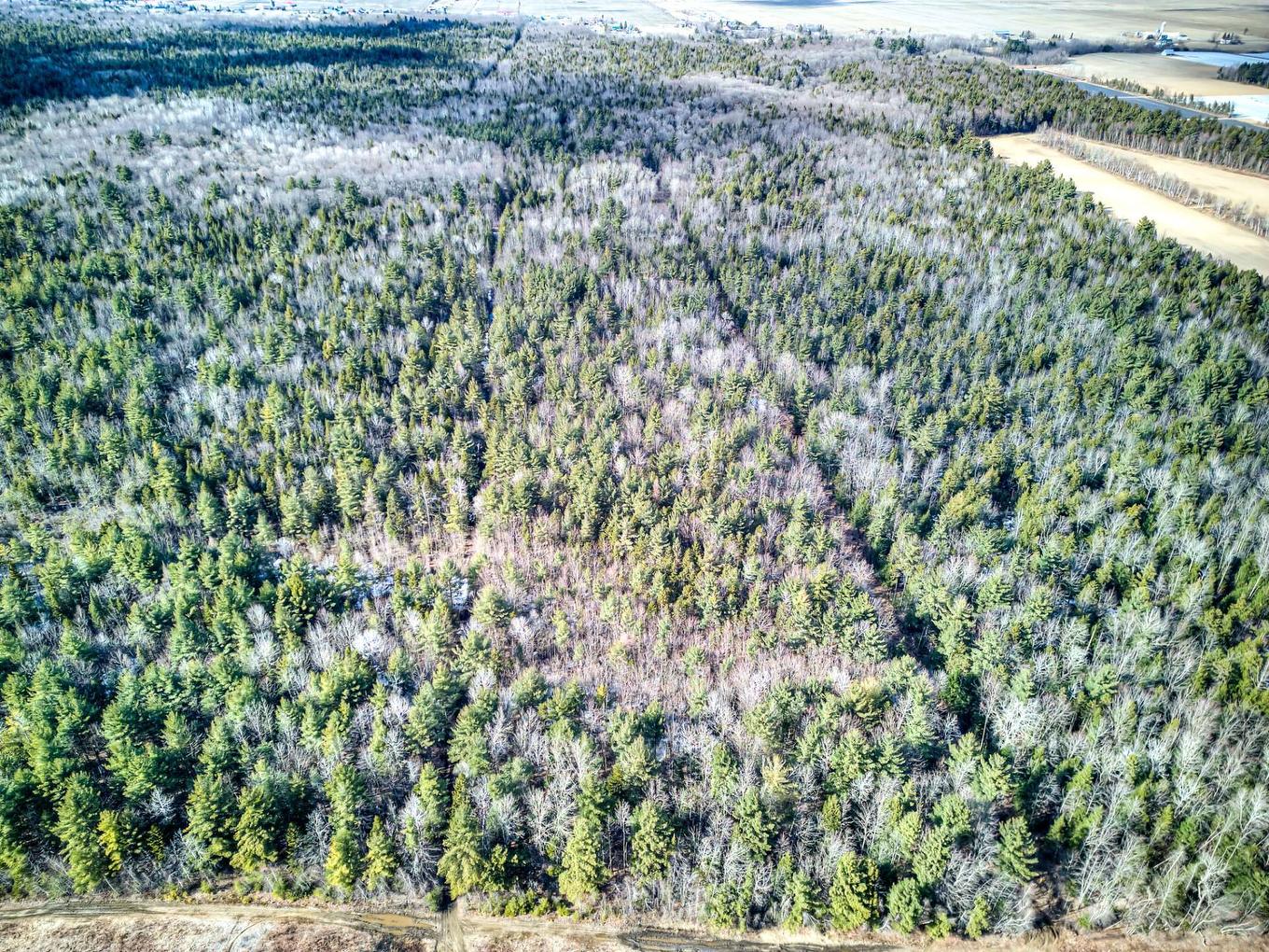 Extérieur - Rue Télesphore, Terrebonne (Terrebonne), QC