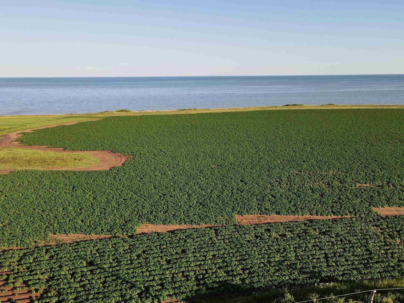 Lot 06-2 Route 14, Campbellton, PE