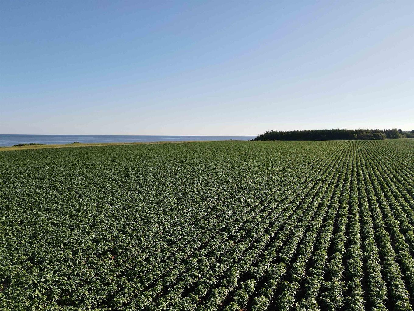 Lot 06-2 Route 14, Campbellton, PE