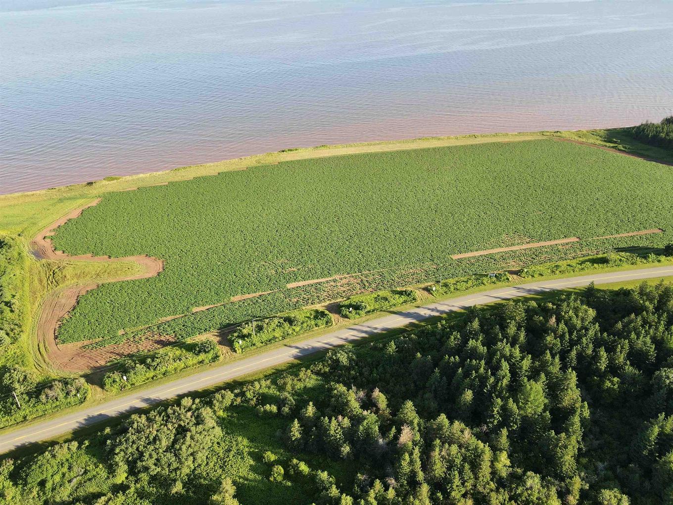 Lot 06-1 Route 14, Campbellton, PE