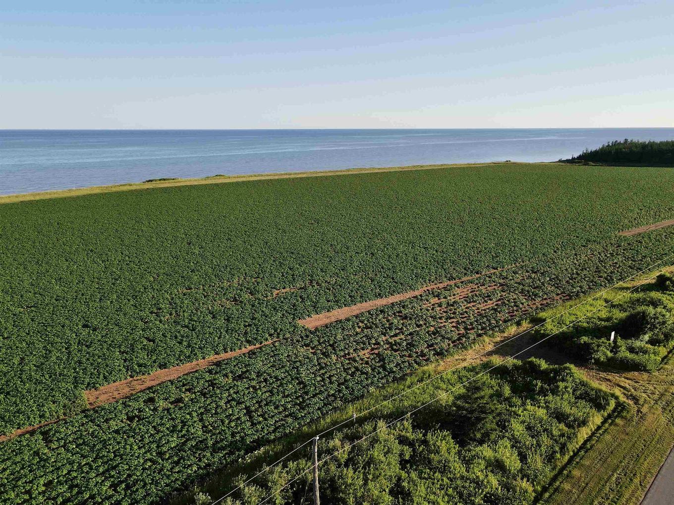 Lot 06-1 Route 14, Campbellton, PE