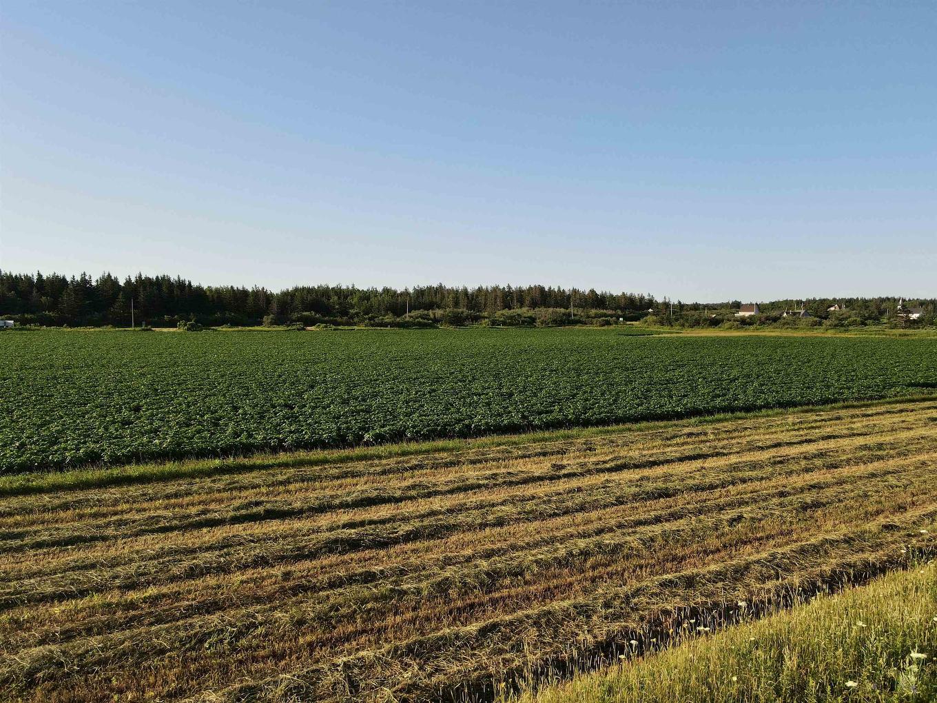 Lot 06-1 Route 14, Campbellton, PE