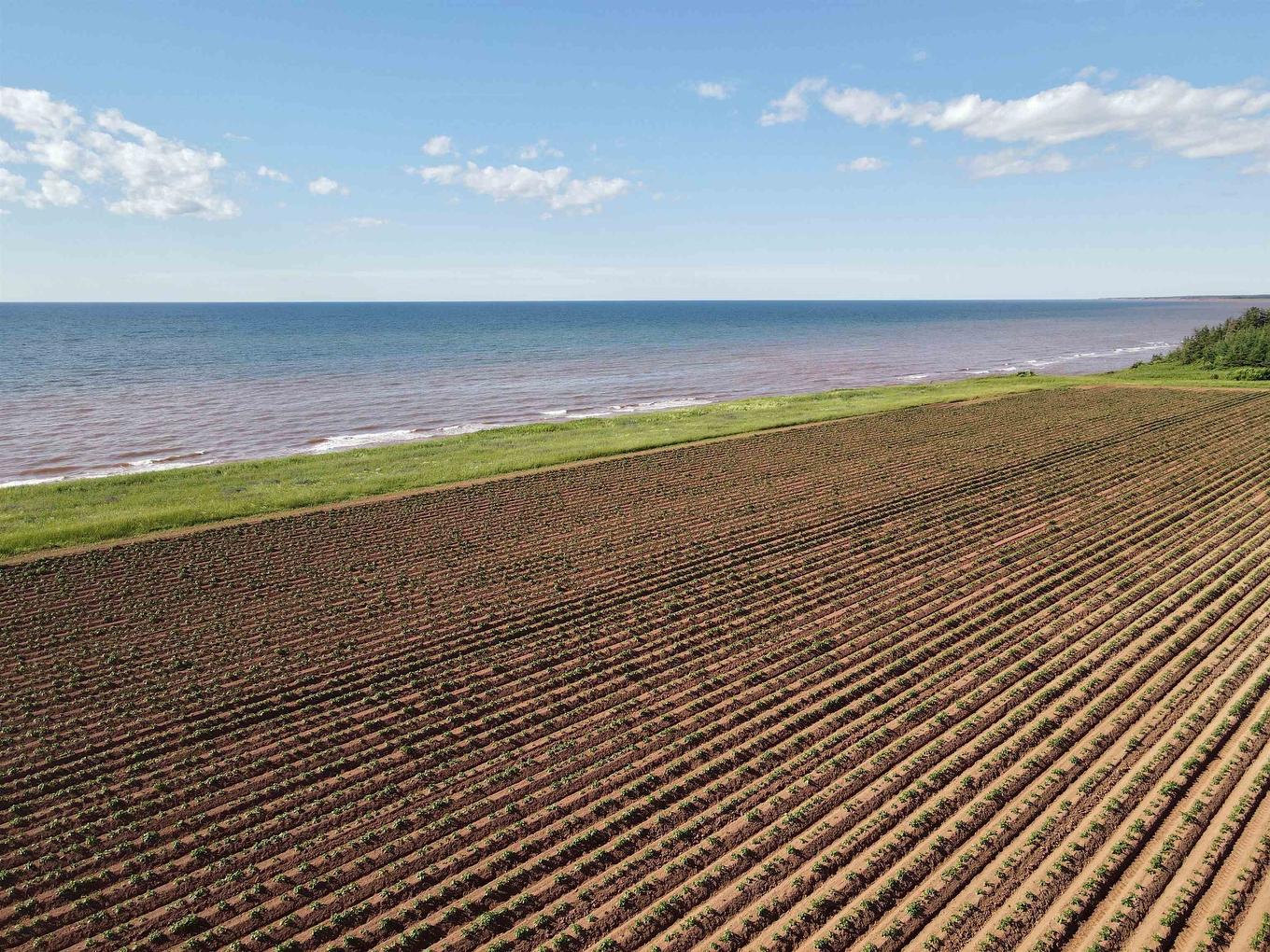 Lot 06-1 Route 14, Campbellton, PE