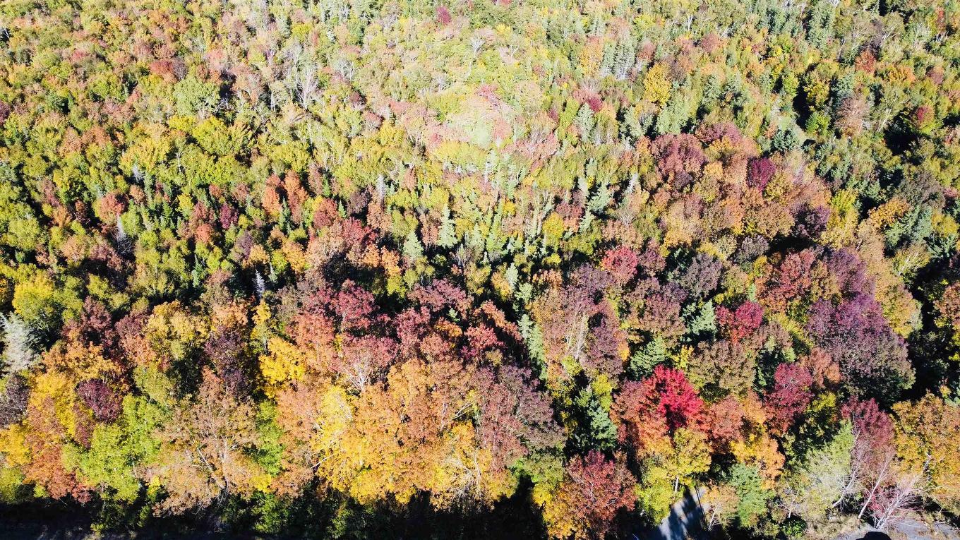 Lot 3 West Bay Highway, Roberta, NS