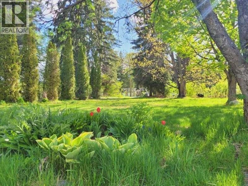 121 Brookfield Road, Clearwater, BC - Outdoor With View