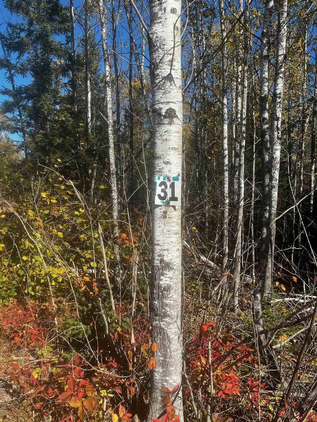 Lot 31 Grann Drive, Shuniah On, ON