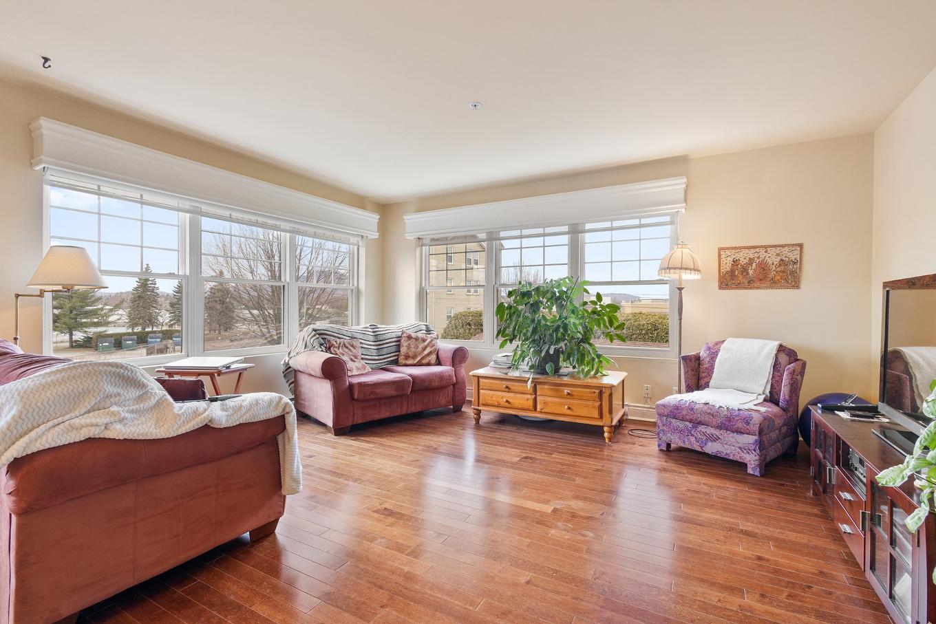 Living room - 201-35 Rue Du Quai, Magog, QC - Indoor Photo Showing Living Room