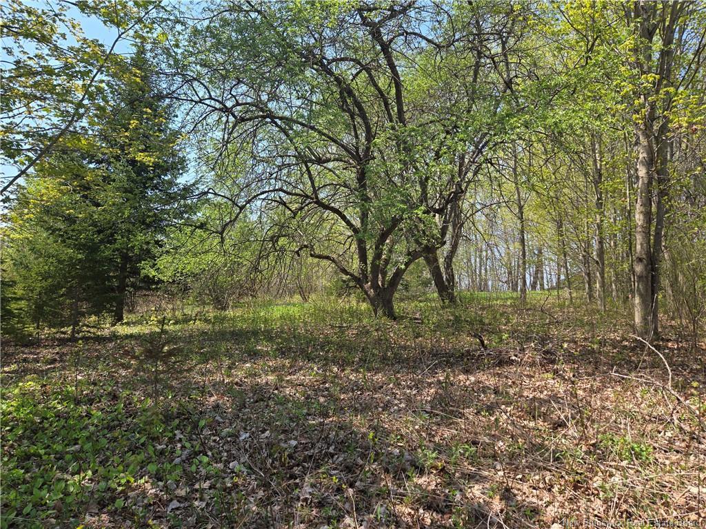 329 Clements Dr, Fredericton, NB