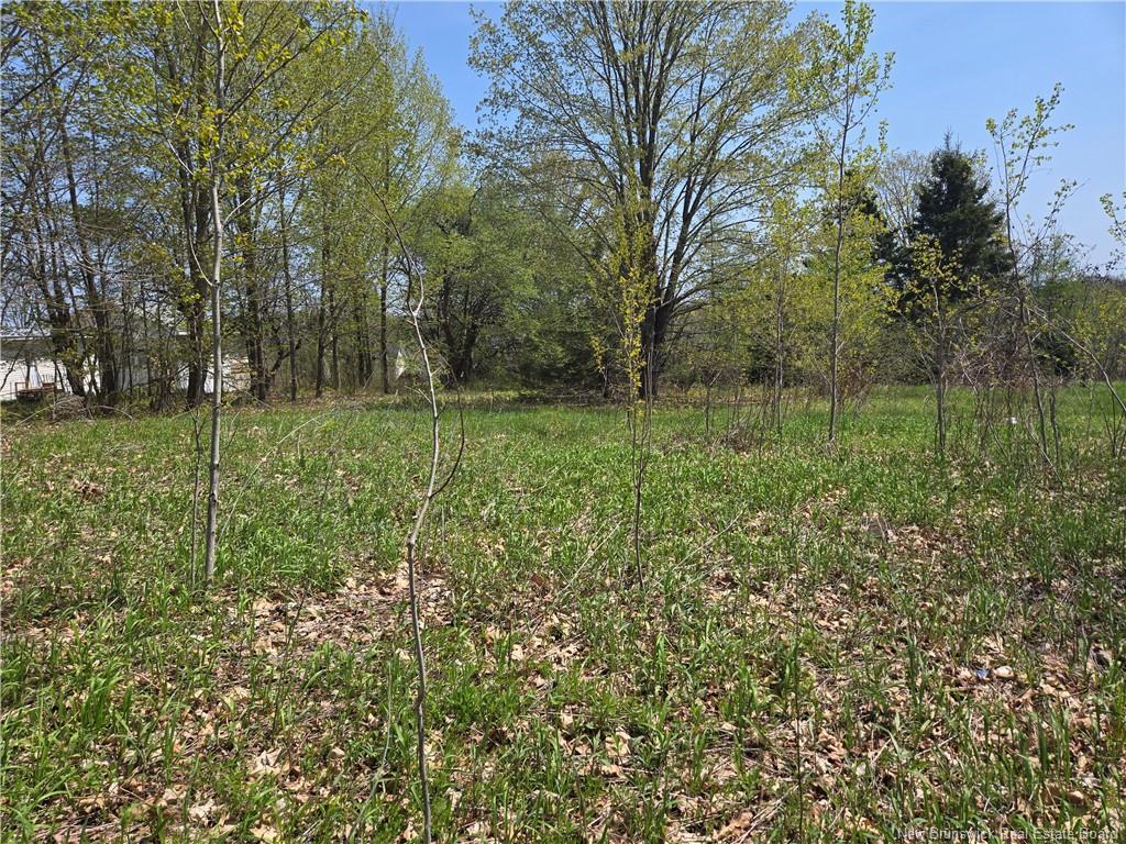 329 Clements Dr, Fredericton, NB