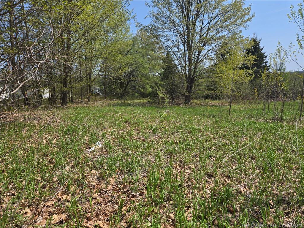 329 Clements Dr, Fredericton, NB