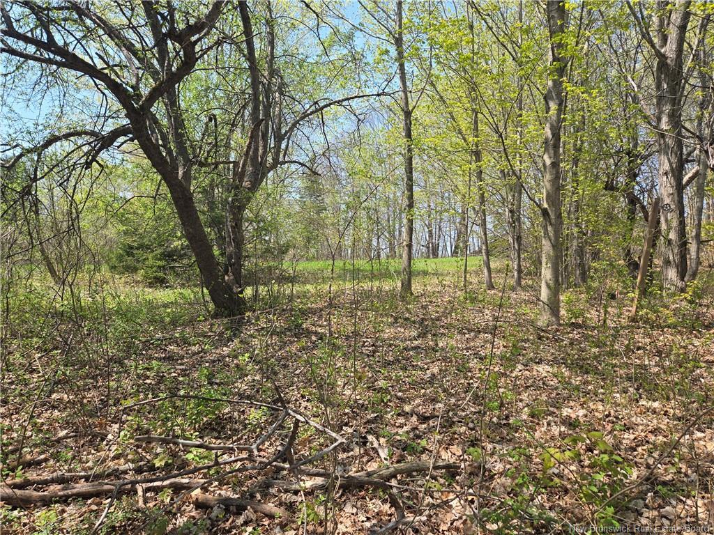 329 Clements Dr, Fredericton, NB