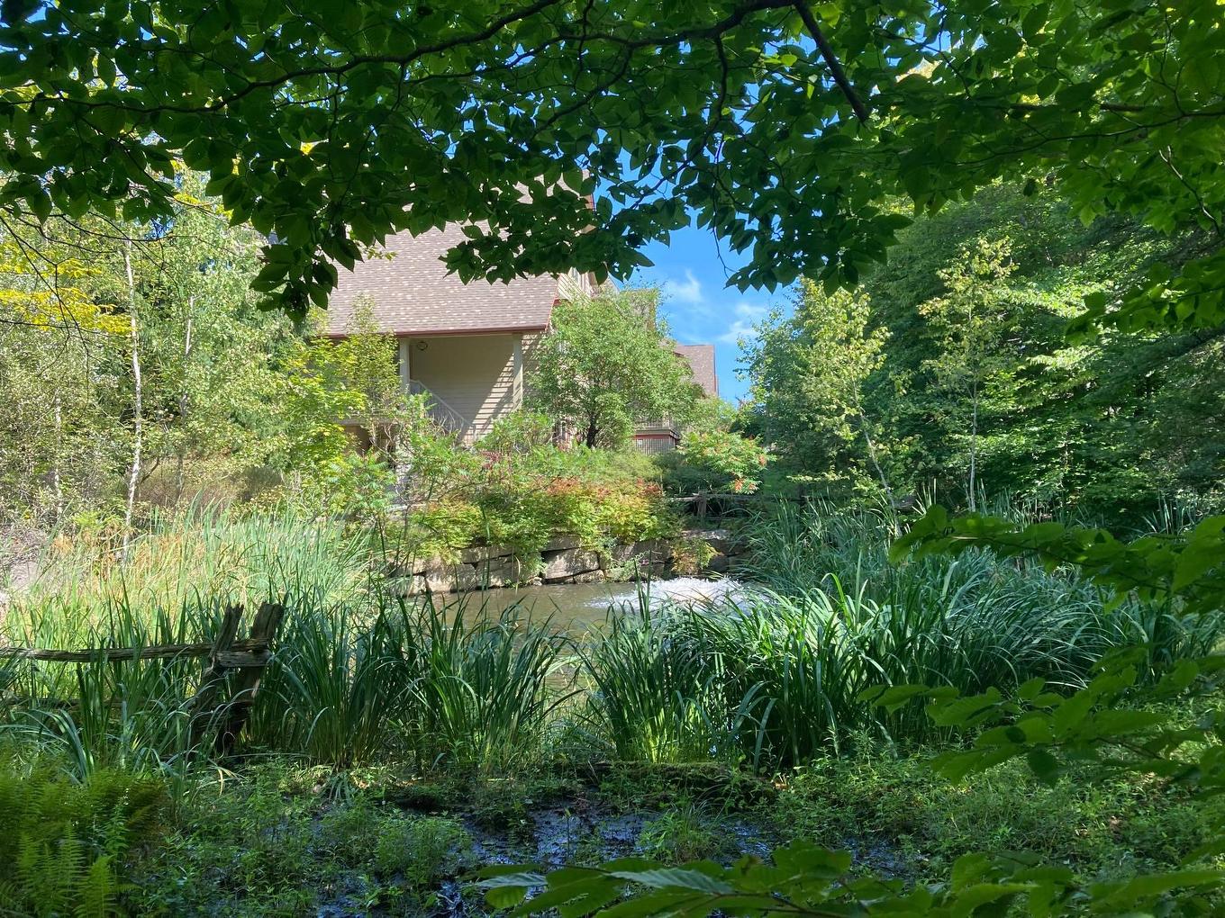 Extérieur - 3-195 Rue Du Mont-Plaisant, Mont-Tremblant, QC - Outdoor
