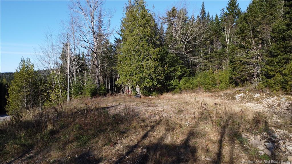 2414 Route 845, Bayswater, NB